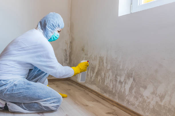 Mold inspector in Circle Pines performing thermal imaging