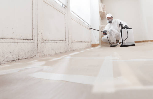 Post-remediation clearance in Circle Pines